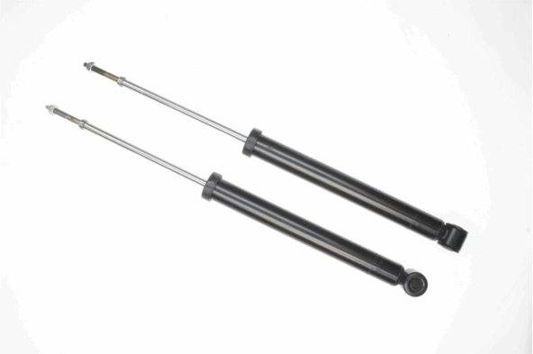 316707 Sachs