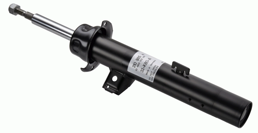 310985 Sachs