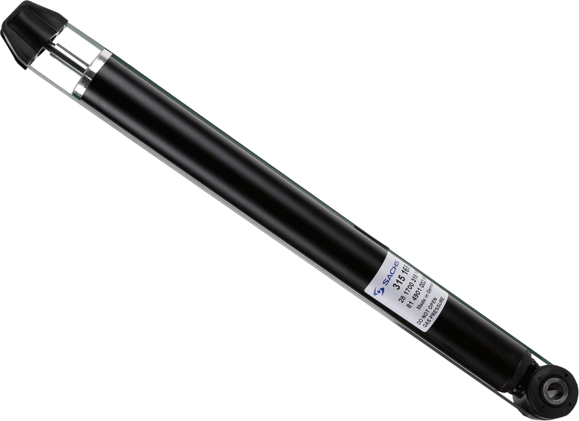 315169 Sachs