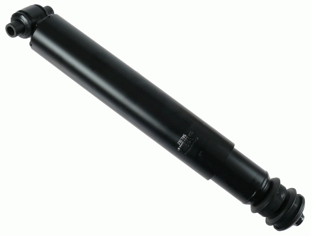 310785 Sachs