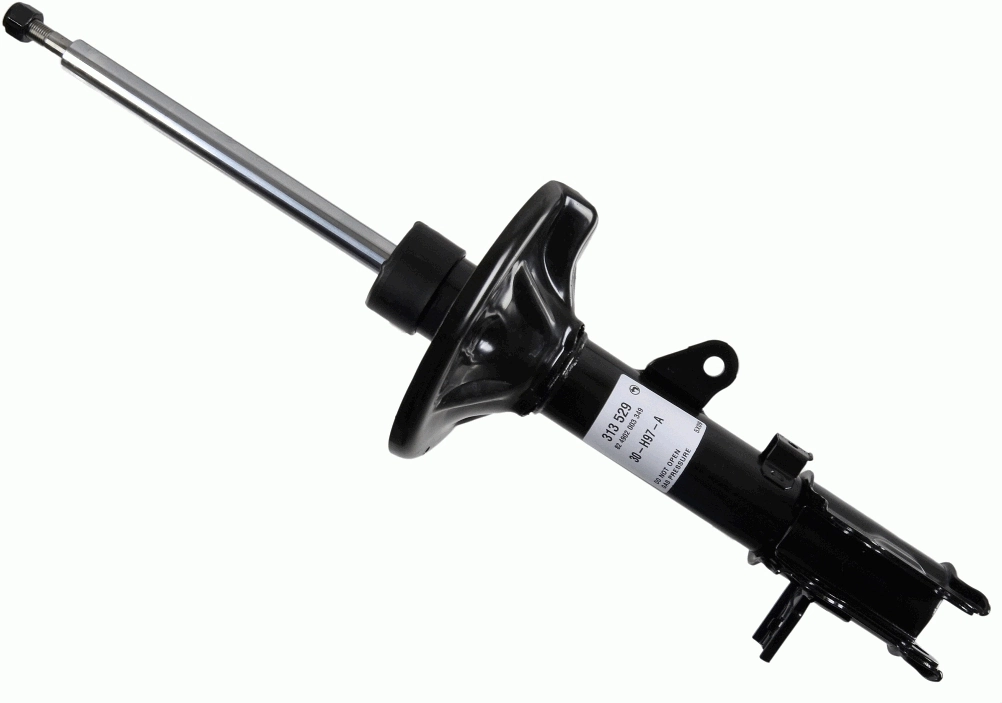 313529 Sachs