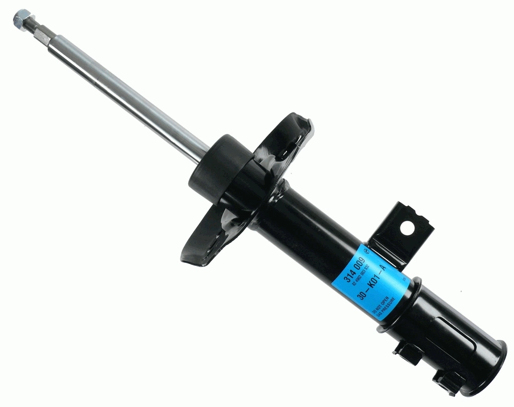 314009 Sachs