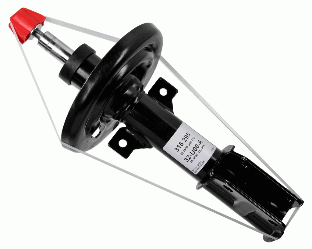 315295 Sachs