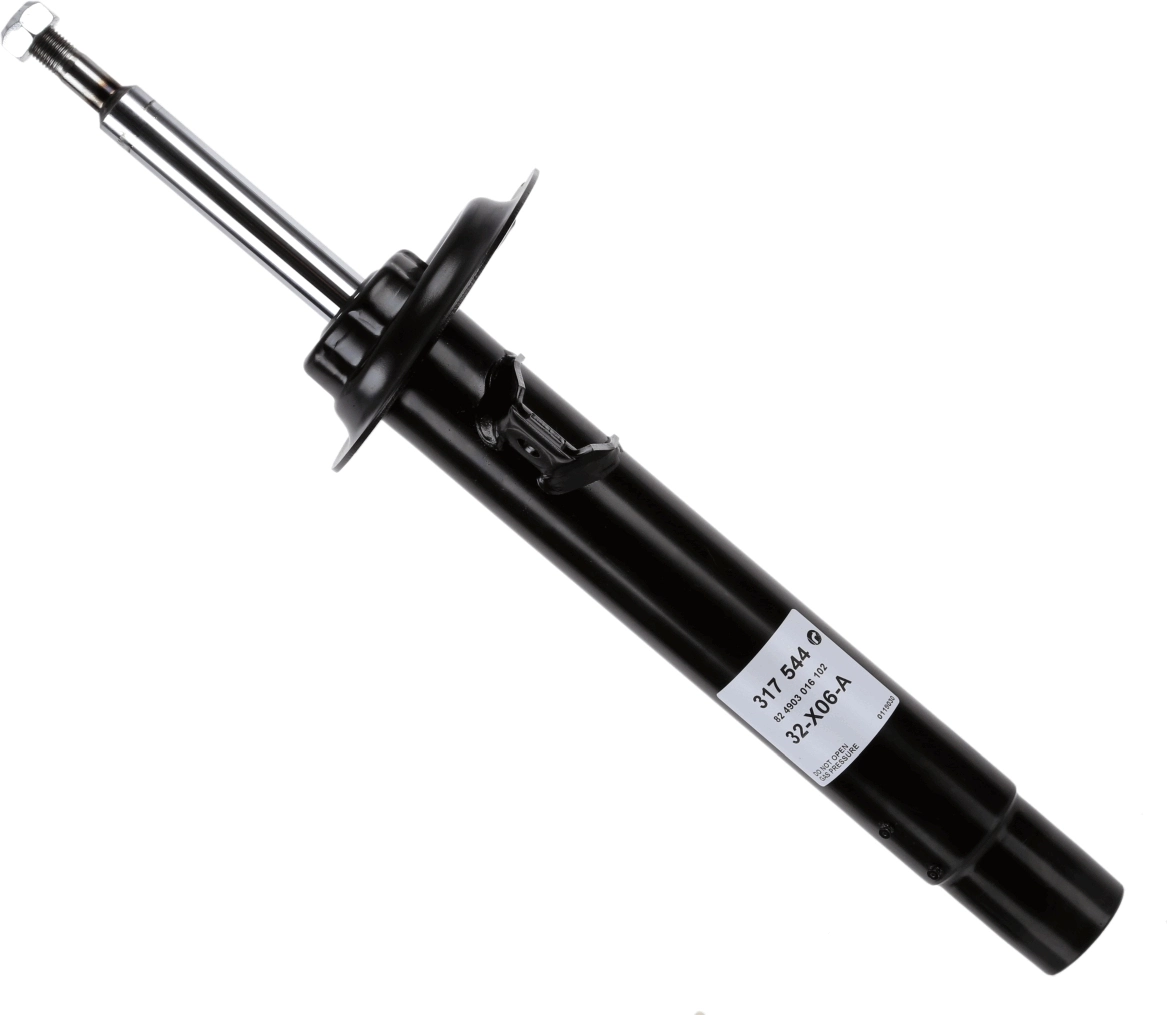 317544 Sachs