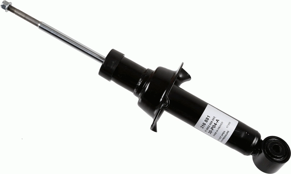 316881 Sachs