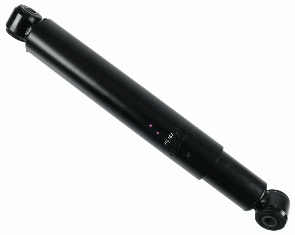 310163 Sachs