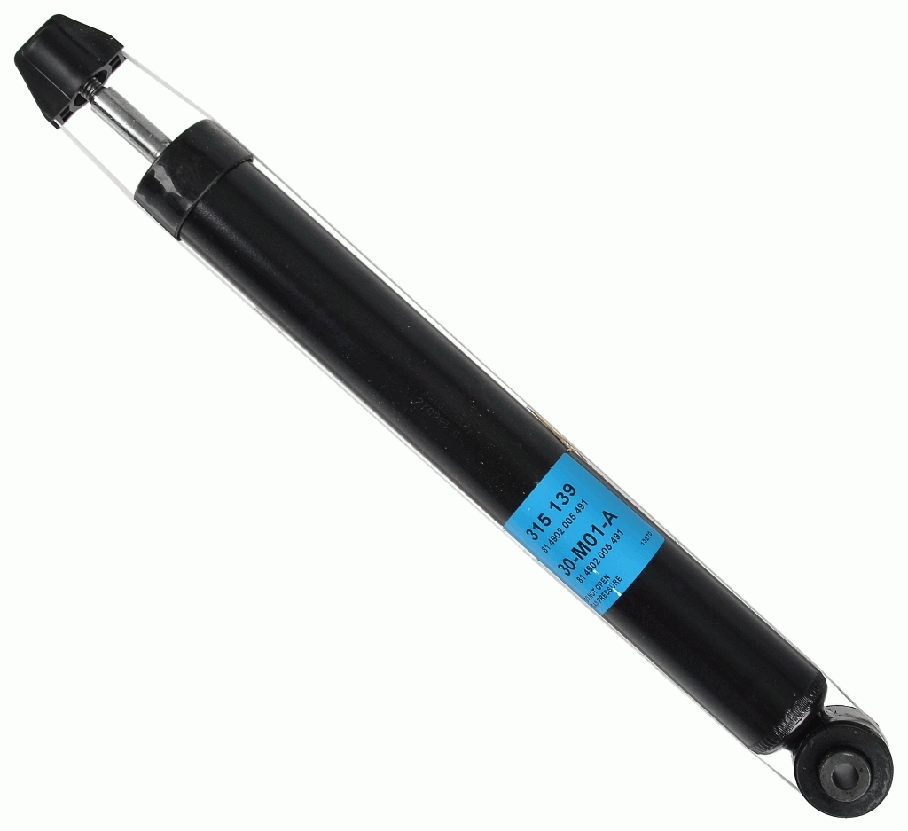 315139 Sachs