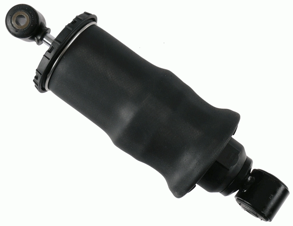 313078 Sachs