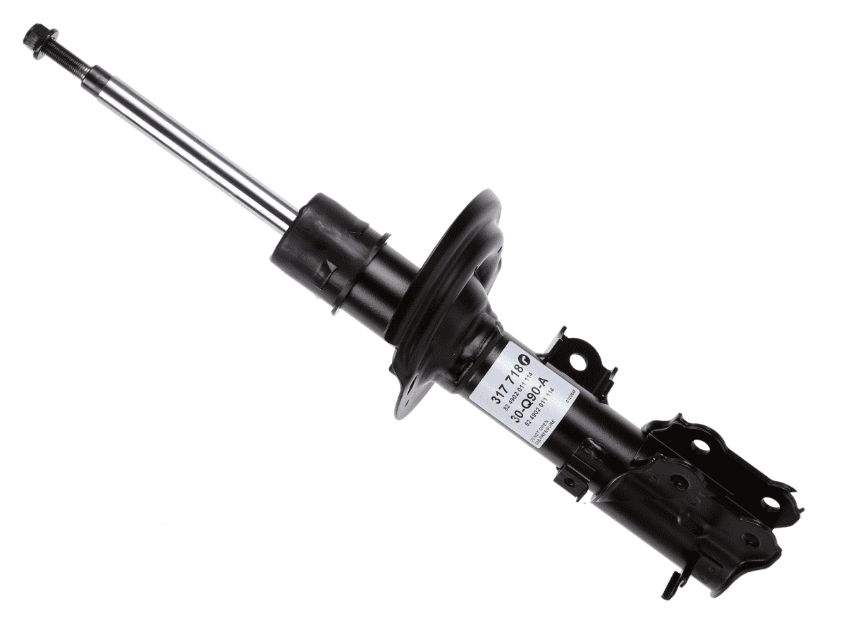 317718 Sachs
