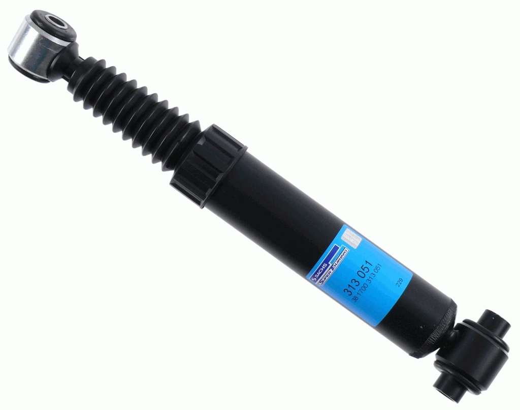 313051 Sachs