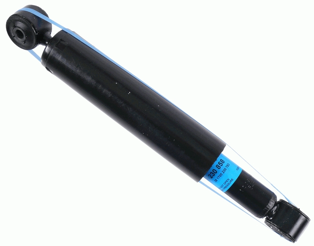 230858 Sachs