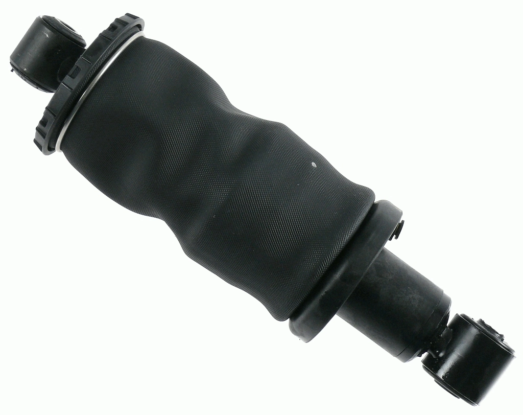 313183 Sachs