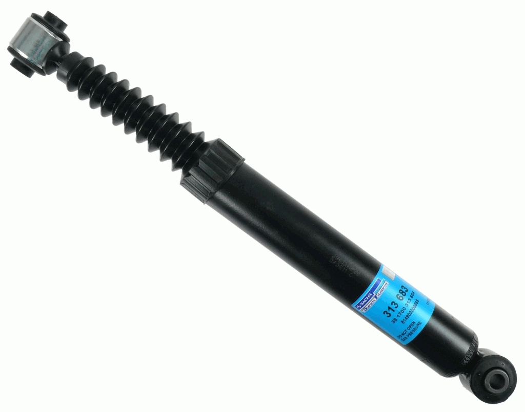313683 Sachs