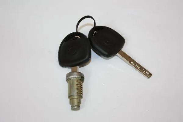 0133396 Opel Wkładka zamka drzwi przednich