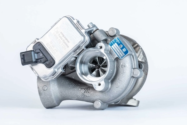54409980009 Borg-Warner