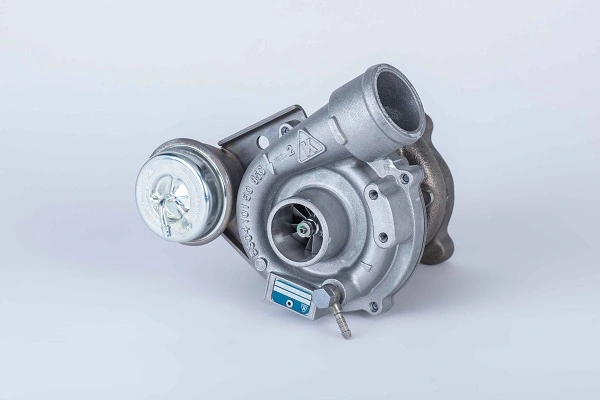 53039880029 Borg-Warner