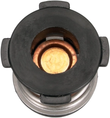 Termostat do Volkswagen Polo VI AW1, BZ1, AE1