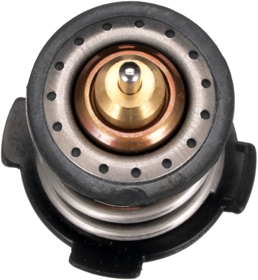 Termostat Volkswagen Polo VI