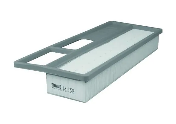 LX1920 Mahle Original