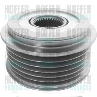 45222 Hoffer