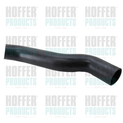 961038 Hoffer