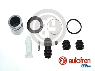 D41953C Autofren