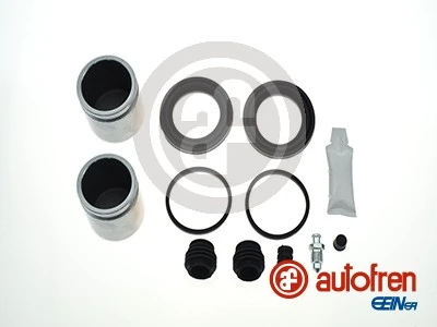 D42180C Autofren