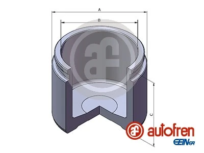 D025308 Autofren