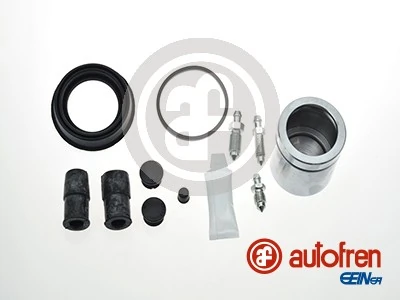 D42100C Autofren