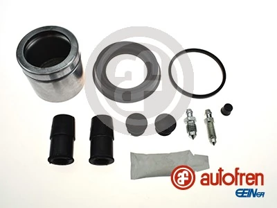 D42111C Autofren