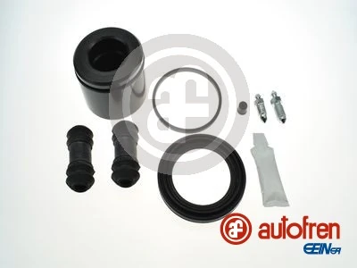 D42066C Autofren