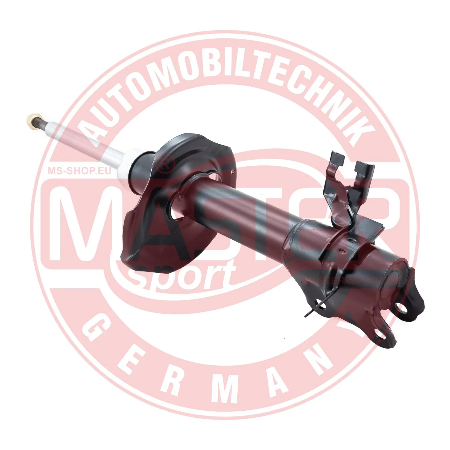 317157PCSMS Master-sport
