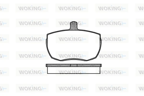 P156300 Woking