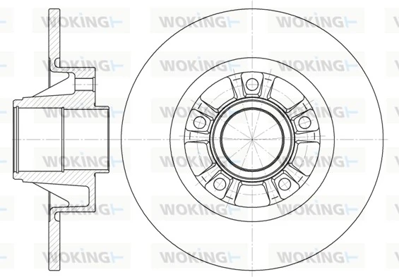 D673300 Woking