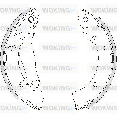 Z420300 Woking