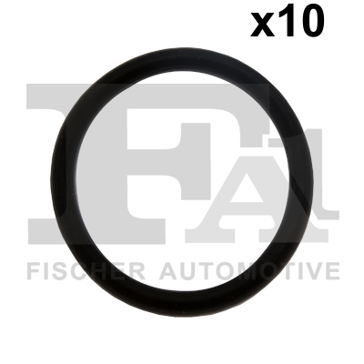 244855010 FA1