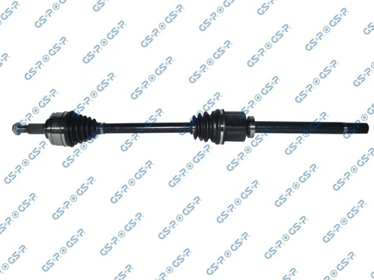 250540 GSP