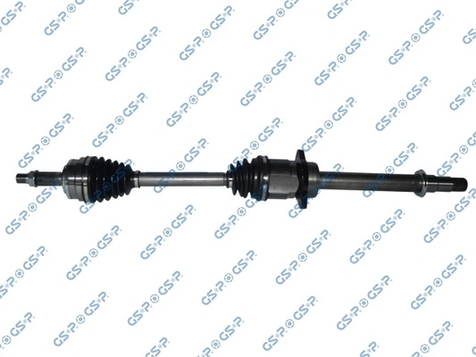 259701 GSP