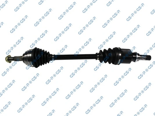 299070 GSP