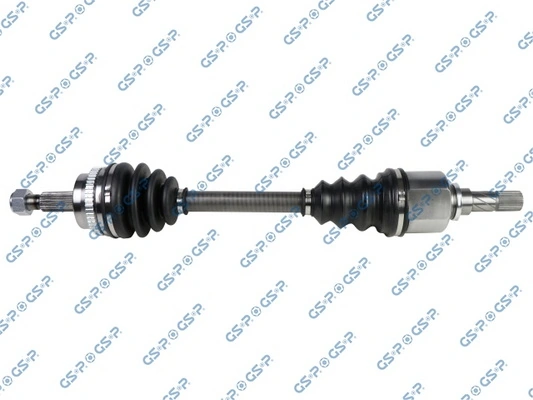250057 GSP