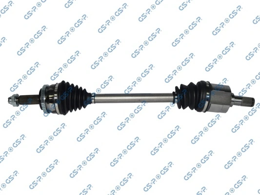 224305 GSP