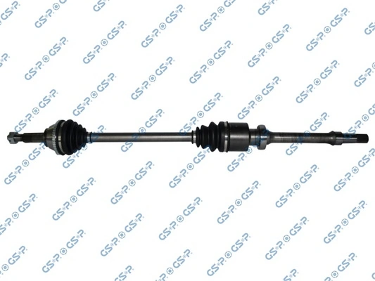 218034 GSP