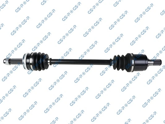 224520 GSP
