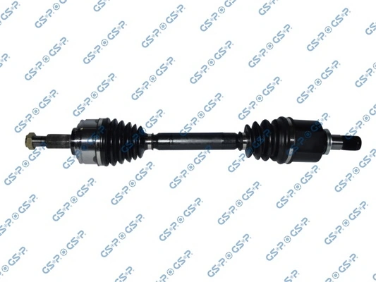 250572 GSP