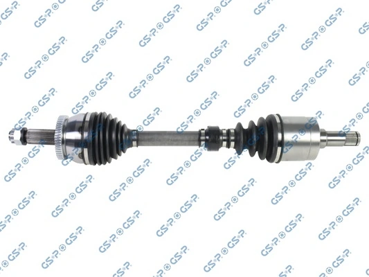 224195 GSP