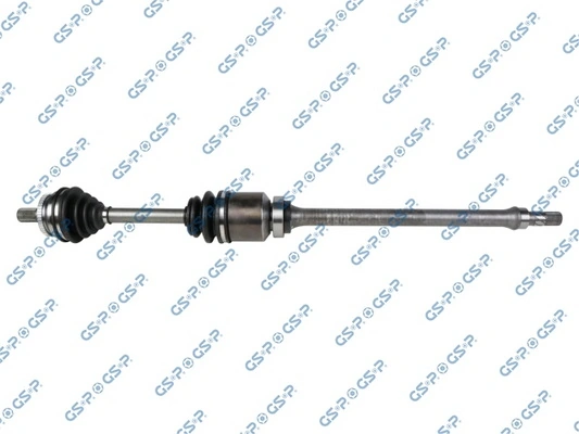 262028 GSP