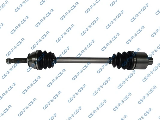 244006 GSP