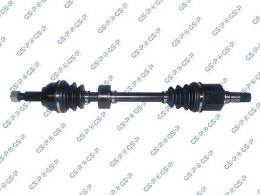 218197 GSP