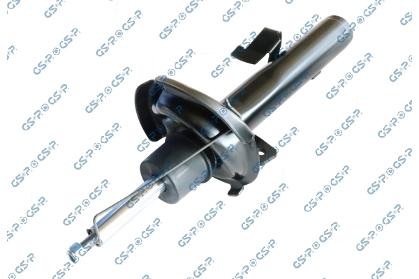 32307781 GSP