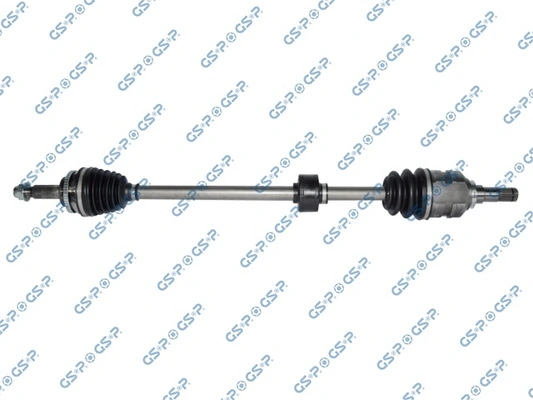 259562 GSP